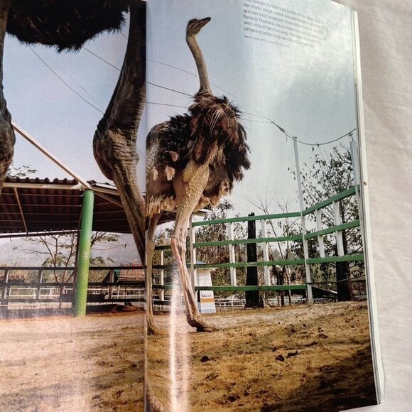 National Geographic Society Magazine The End of Blindness September 2016 VOL 230 - Picture 4 of 5